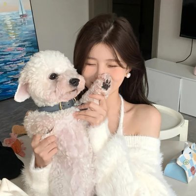 康德第一保镖传奇